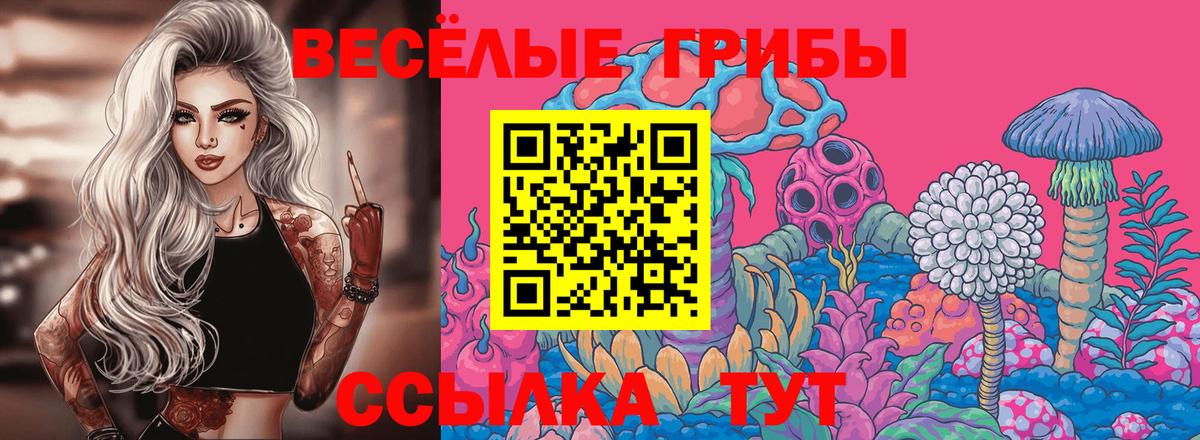 Галлюциногенные грибы Psilocybe  Заинск  Псилоцибиновые грибы Psilocybe 