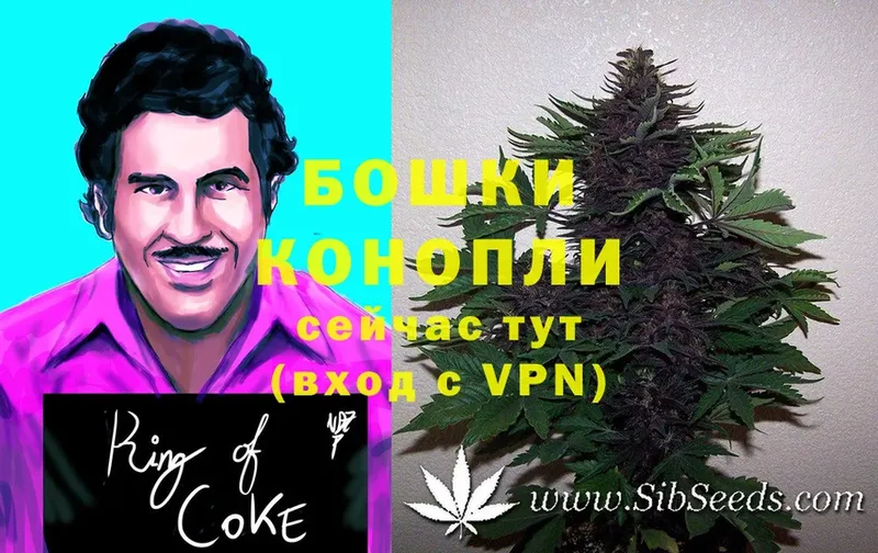 МАРИХУАНА SATIVA & INDICA  кракен вход  Заинск 